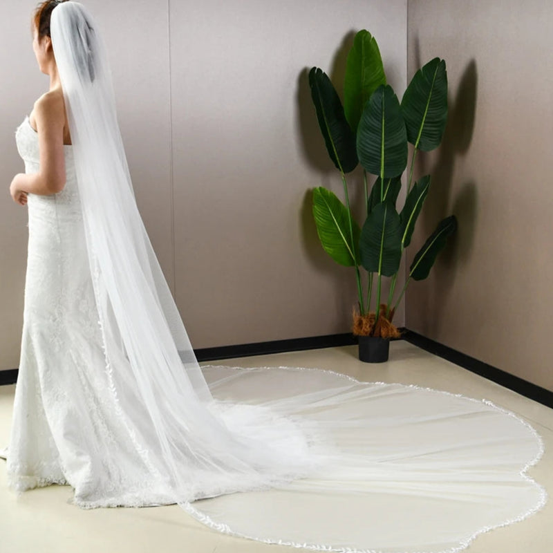 Lace-edged cathedral wedding veil with single tier drape, white tulle back view