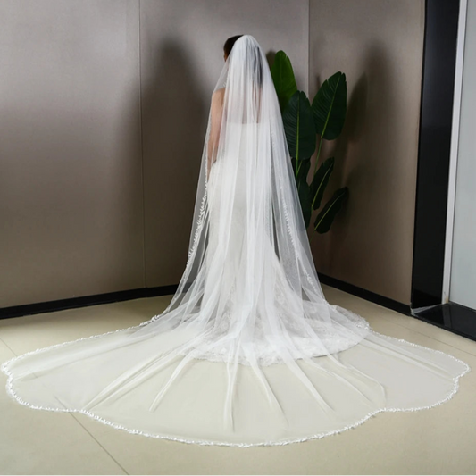 Cathedral wedding veil with single-tier tulle and lace border, full-length front drape